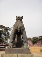 結城神社・狛犬.JPG